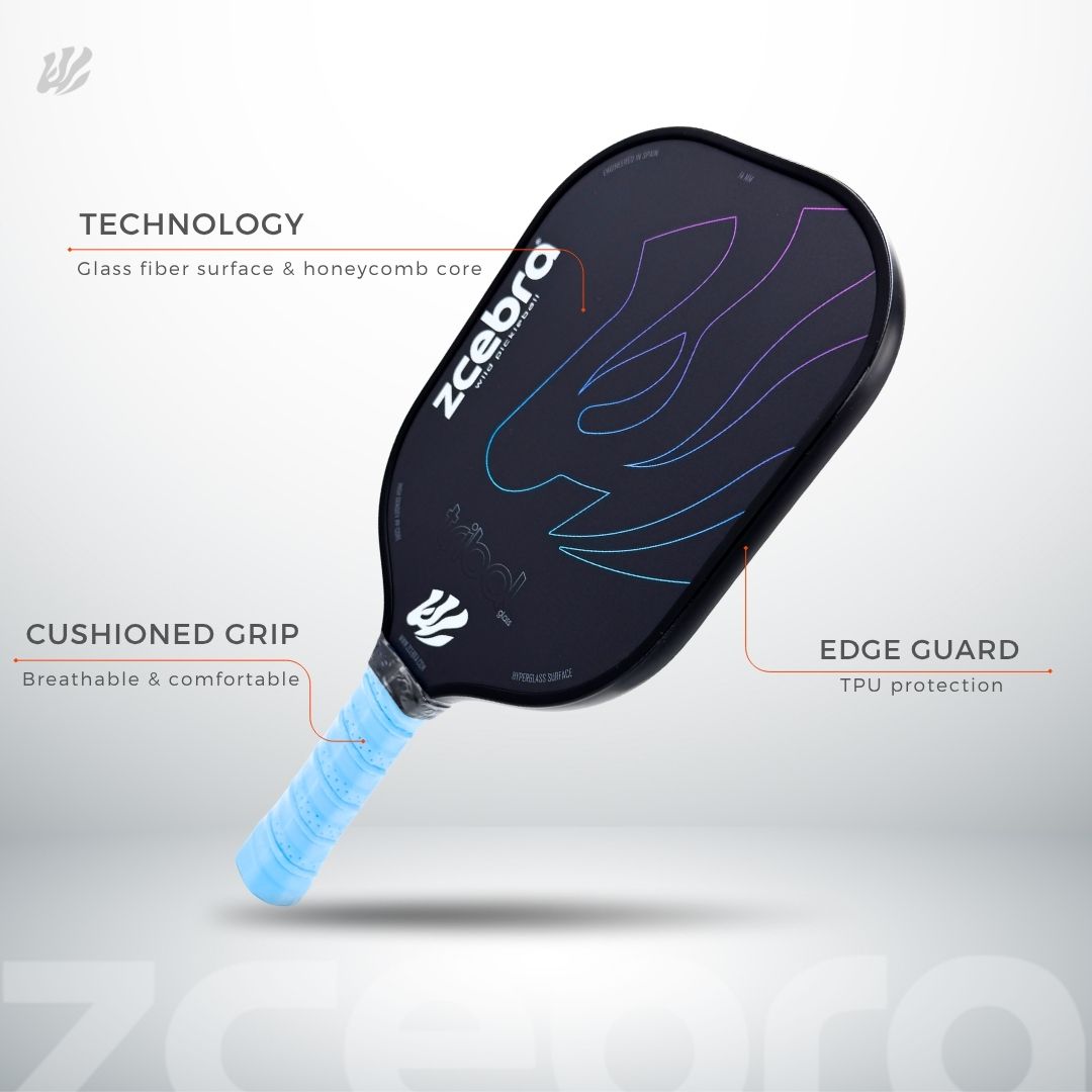 Pickleball Set 2 Paddles 2 Balls