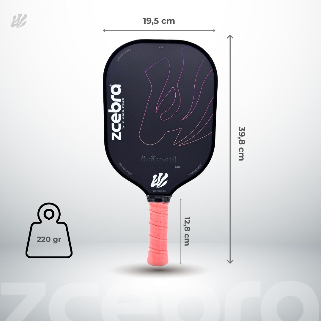Pickleball Set 2 Paddles 2 Balls